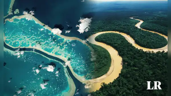 La corriente oceánica más rápida del mundo: supera 300 veces la velocidad del río Amazonas