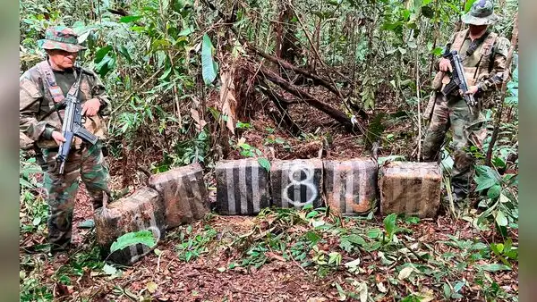Pasco: hallan enterrados 252 kilos de cocaína en medio de la selva