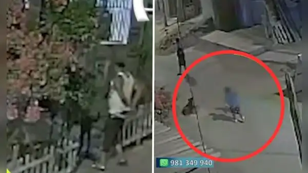 Villa El Salvador: hombre acuchilla y mata a perrito que mordió a su nieto