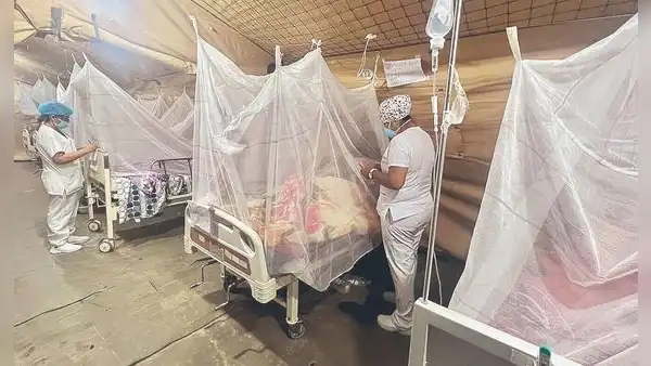 Minsa: dengue ya está en 21 regiones y los decesos ahora suman 53