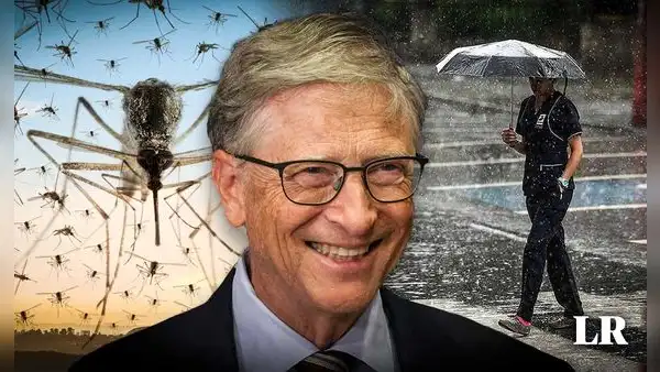 Sudamérica tiene el país más lluvioso del mundo: Bill Gates realiza un proyecto para combatir el dengue