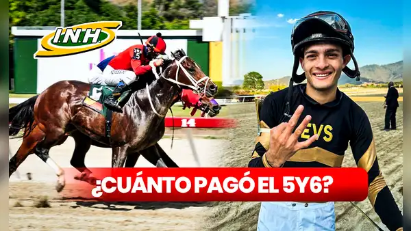 ¿Cuánto pagó el 5y6 de La Rinconada HOY, domingo 17 de marzo? Monto oficial, dividendos y cuadros del INH