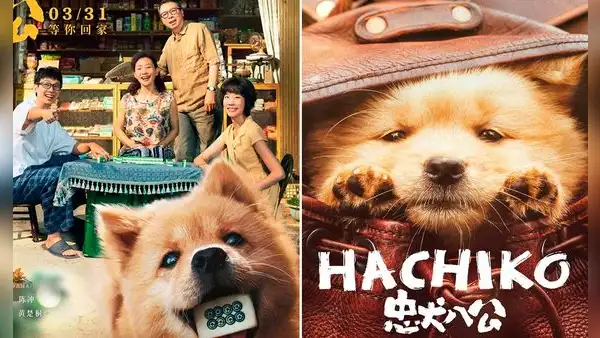 ‘Hachiko 2’: fecha de estreno, sinopsis, tráiler y más sobre la secuela del perro ‘más fiel del mundo’