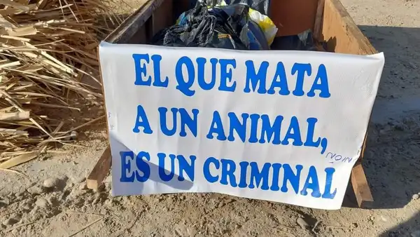 Piura: Policía detiene a hombre tras ultrajar y causar la muerte a una perrita