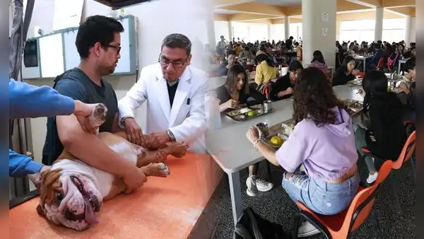 UNMSM: ¿cuáles son los servicios a bajo costo que ofrece para los estudiantes y público en general?