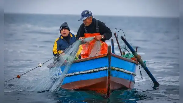 Camones y Espinoza pretenden modificar ley que favorece a pescadores artesanales