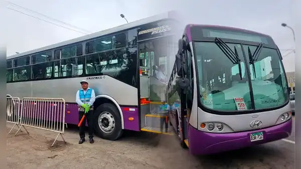 Así son los nuevos buses del Corredor Morado en SJL: con aire acondicionado y para 160 pasajeros