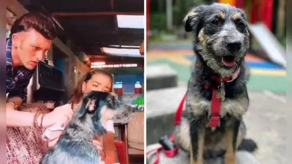 'Rigo': la conmovedora historia de Dualipa, la perrita rescatada que actúa como Mijito en la serie