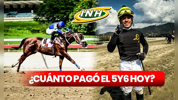 ¿Cuánto pagó el 5y6 de La Rinconada HOY, domingo 24 de marzo? Monto, dividendos y cuadros del INH