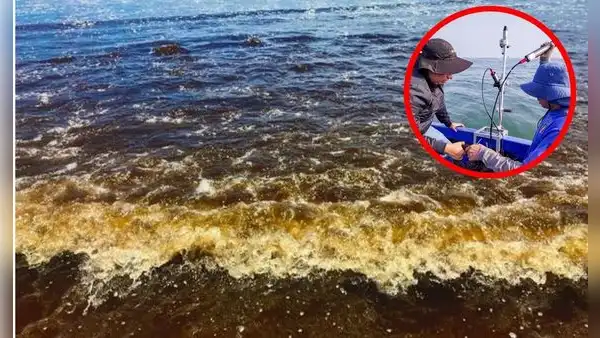 Reportan 'marea roja' en playas de Pisco: ¿qué es este fenómeno y por qué es peligroso?