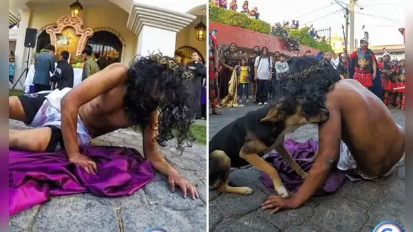 Perrito consuela a actor que interpretaba a ‘Jesús’ en vía crucis: “Sentimiento sincero”