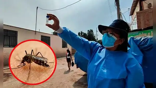 Más de 10.000 contagios por dengue en Lima en lo que va del 2024: Comas y SJL lideran la lista