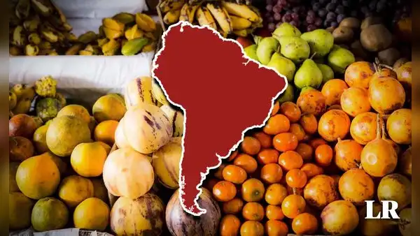 Descubre la fruta latinoamericana cuya demanda en Países Bajos y EE.UU. se disparó un 448%