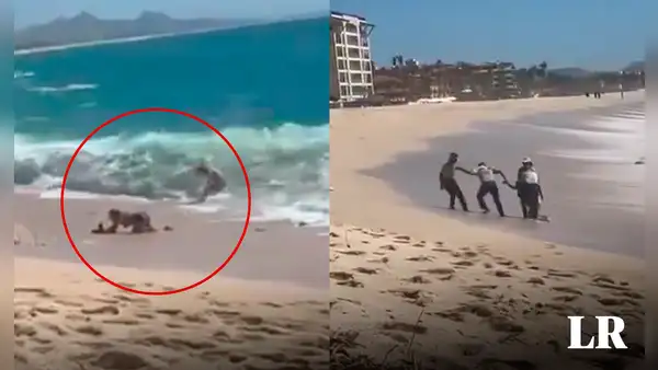Salvados de morir: turistas estadounidenses son rescatados del mar en Baja California Sur