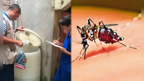 Dengue en Colombia: Instituto Nacional de Salud alertó por más de 55.000 casos durante el 2024