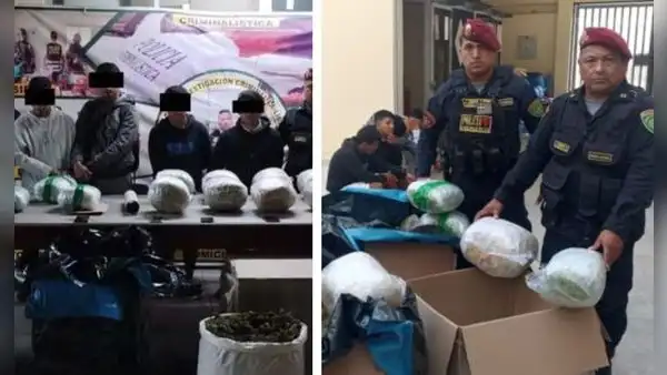 Incautan 75 kilos de marihuana en Trujillo: PNP detuvo a 5 narcotraficantes