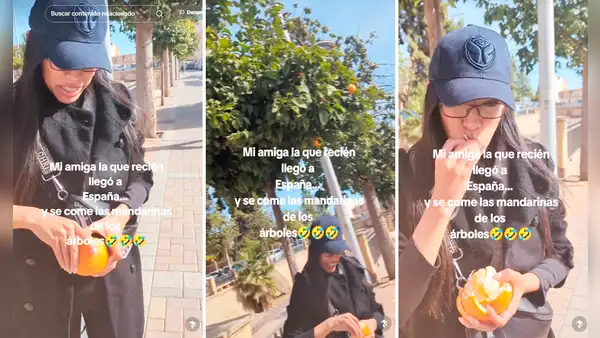 Latina en España se lleva amarga sorpresa al comer fruta: "No todas las mandarinas son comestibles"