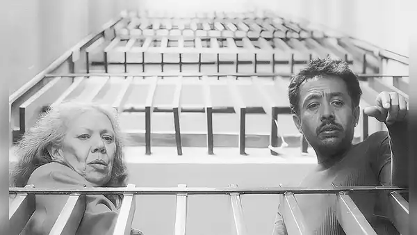 Cine mexicano: No nos moverán