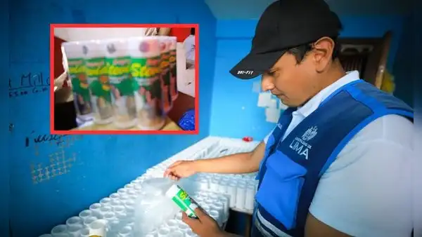 Cercado de Lima: fiscalizadores incautan 3 toneladas de stevia bamba en almacén clandestino
