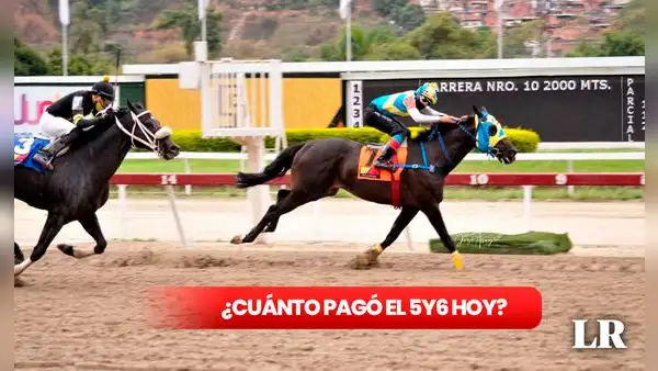 ¿Cuánto pagó el 5y6 de La Rinconada HOY, 7 de abril? Montos oficiales y dividendos del INH