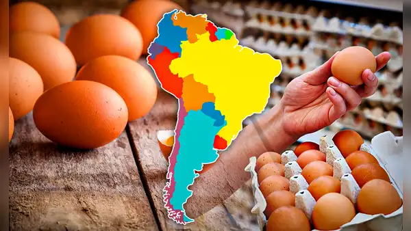 Conoce el país de Sudamérica que consume más huevo y es quinto en el mundo