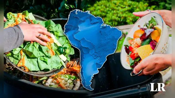 El pequeño país de Sudamérica que desperdicia más alimentos en la región con 96 kg al año: no es Brasil