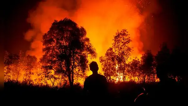 Incendios forestales en Venezuela: NASA muestra la magnitud de los siniestros