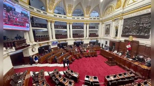 Atentado contra el aborto terapéutico: ¿qué bancadas votaron a favor de esta ley antiderechos?