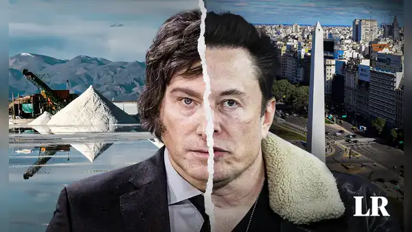 Elon Musk busca explotar el litio en Argentina sin controles o regulaciones, según especialista argentino