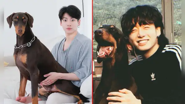 Jungkook de BTS crea cuenta de Instagram para su mascota Bam y consigue 2 millones de seguidores