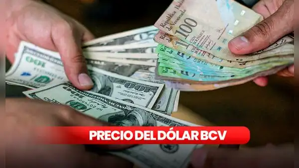 Precio del dólar BCV HOY, lunes 15 de abril: ¿cuál es la cotización del dólar en Venezuela?