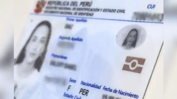DNI ELECTRÓNICO será OBLIGATORIO para consulta de ficha Reniec: ¿desde cuándo?