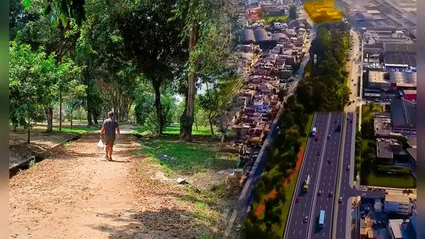 Anillo Vial Periférico: ¿cuántas áreas verdes de Lima serán eliminadas para su construcción?
