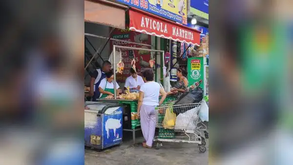 Precio del pollo varía entre S/8 y S/10 el kilo en mercados minoristas
