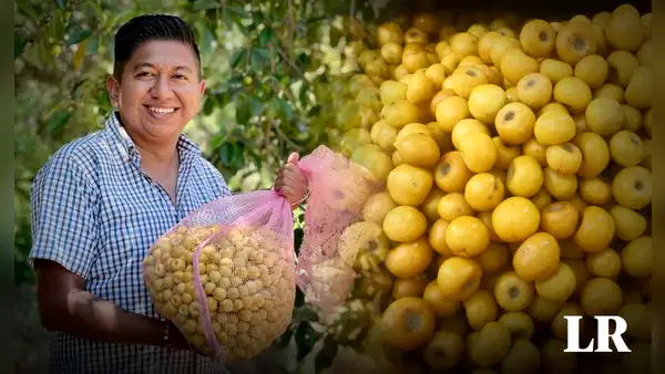 La maravillosa fruta con alta dosis de colágeno: evita el envejecimiento prematuro y desaparece las arrugas
