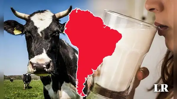 Descubre cuál es el país de Sudamérica que se ubica en el top 5 mundial en consumo de leche