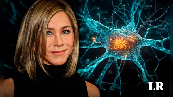 Neurona 'Jennifer Aniston': ¿por qué un científico argentino nombró así a una célula nerviosa?
