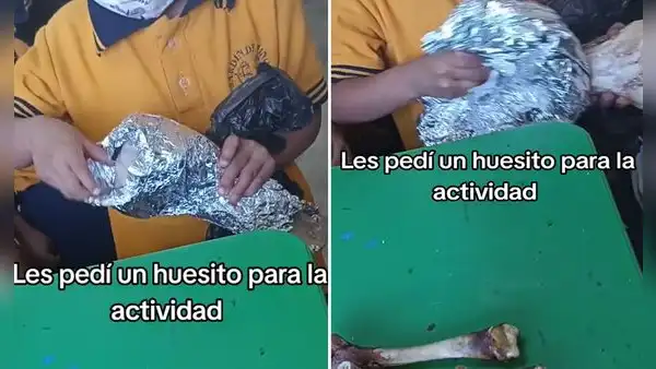 Profesora pidió un hueso para estudiarlo en clases y su alumno la sorprende: “Se merece un 20”