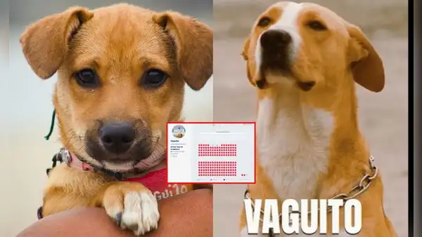 ¡A sala llena! 'Vaguito' es un rotundo éxito tras baja acogida en su debut: "Ganó la unión"