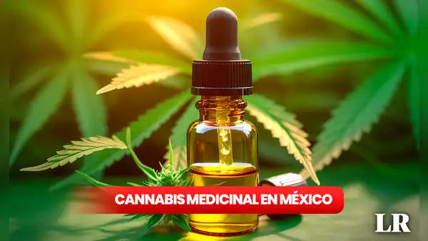 Cannabis medicinal en México: ¿qué proponen los candidatos y qué retos implicará para la salud pública?