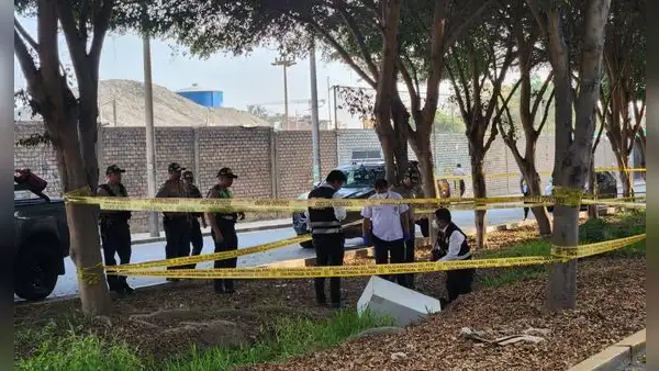 Santa Anita: hallan cuerpo de mujer asesinada cerca de zona industrial