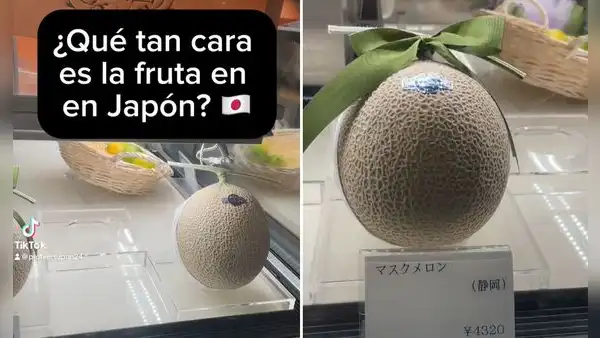 Peruano impacta con el precio de las frutas en Japón: ¡Un melón a S/100!