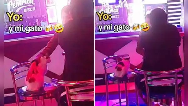 Peruana es viral tras llevar a su gatito a discoteca y dicen: “Tiene más vida social que yo”
