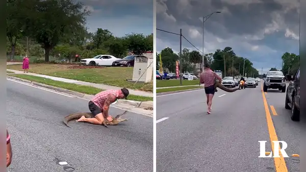 Captan instante en el que hombre se enfrenta 'sin ayuda' a un caimán en una calle de Estados Unidos