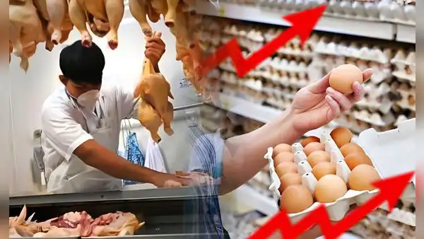 ¿Por qué el precio del pollo está bajando mientras que el del huevo sigue en subida?