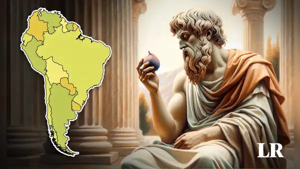 La fruta más antigua del mundo, la favorita de Platón, es cultivada en 4 países de Sudamérica