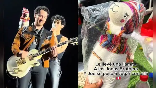 Peruana regaló llamita a los Jonas Brothers y cantantes la mostraron en sus conciertos: “Se fue de gira”