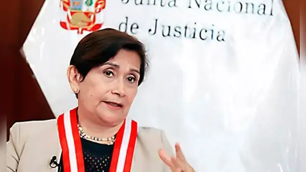Inés Tello interpone recurso para anular resolución del TC y regresar a JNJ