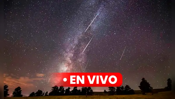 Lluvia de estrellas 2024, EN VIVO: sigue el paso de las Eta Acuáridas por Sudamérica