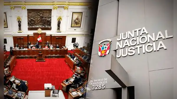 Piden a la OEA activar la Carta Democrática en defensa del orden constitucional y la democracia en Perú